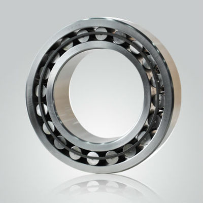 C4026 CARB toroidal roller bearings