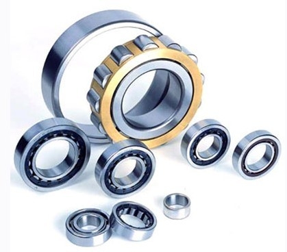 NJ2220M cylindrical roller bearing for oilfield 100x180x46mm