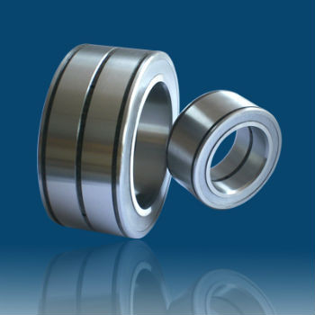 SL045020-PP double row full complement cylindrical roller bearing,sealed bearing